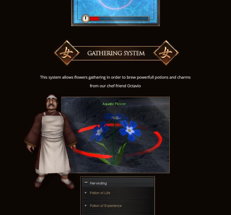 .jpg