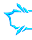 .png