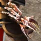 .png