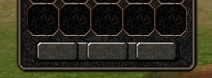164940bug.jpg