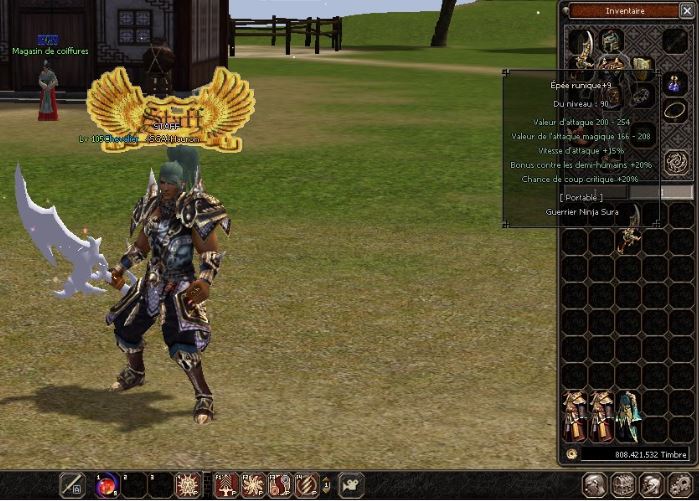 270604ARMEblanche.JPG