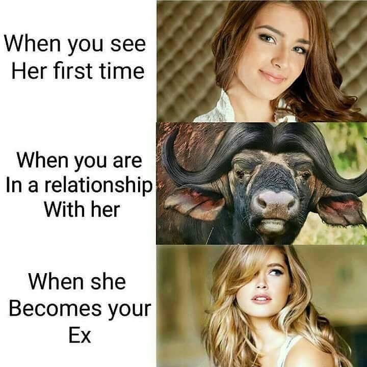 l5fDaab.jpg