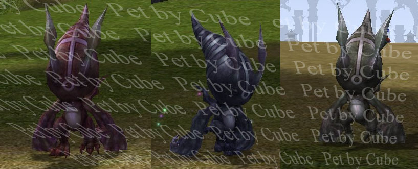 074722petx-copy.jpg