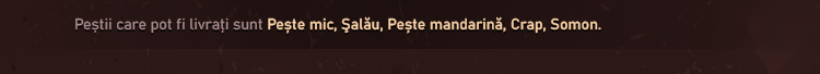 spacer.png