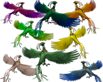 105536pet1.png