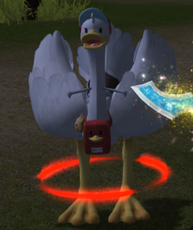 .jpg