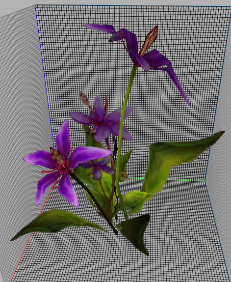 230305bush-12-.png
