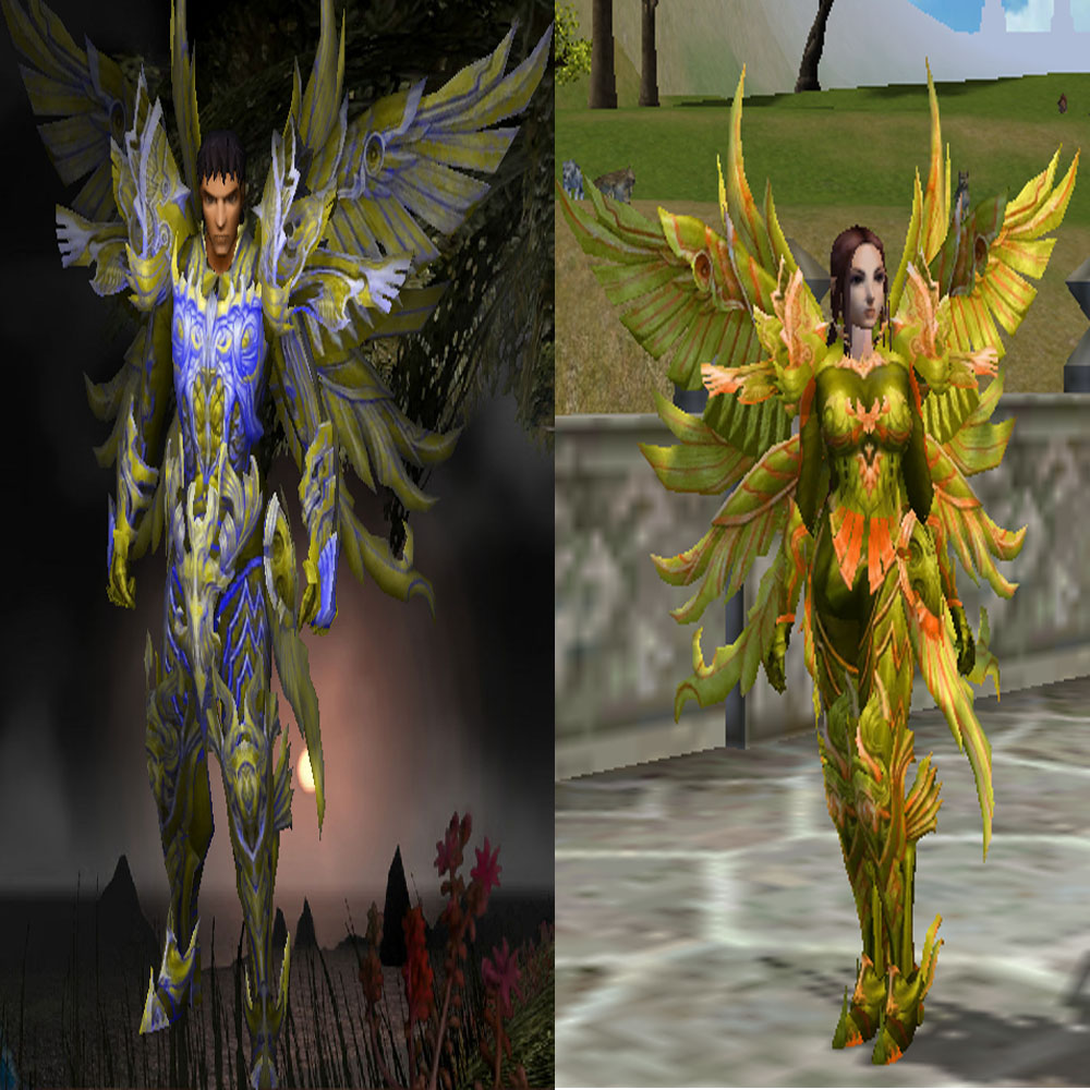 255236armure1.jpg