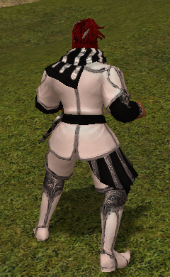 .png