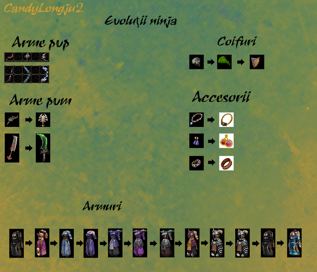 evolutii_ninja.png