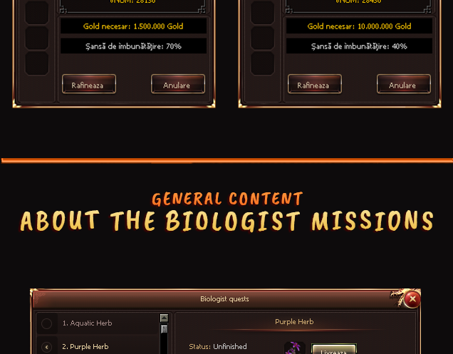 desc-21.png