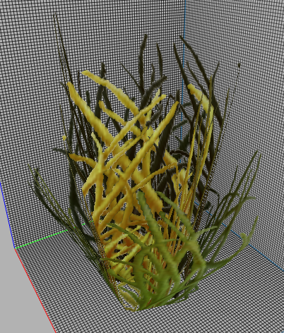 230305bush-14-.png