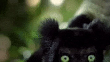 Lunch Eating GIF by PBS