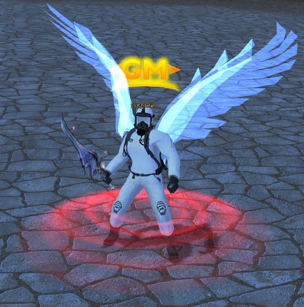 .jpg