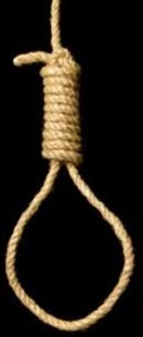 b0b40ec429.jpg