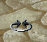 .png