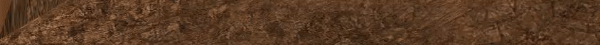 db58ad32020eada68f47d371302d29e9.gif