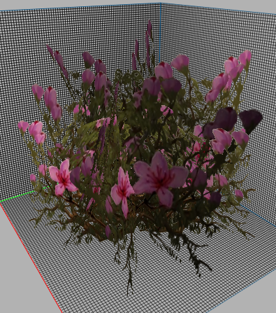 230218bush-6-.png