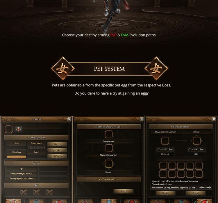 .jpg