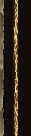 349qjwg.png