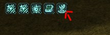 .jpg