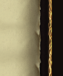 26nfkib.png