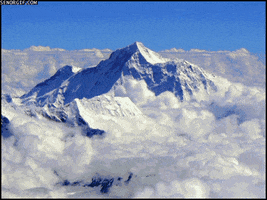 cat mountain GIF by Cheezburger