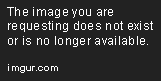 21bulg8.png
