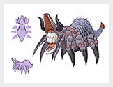 spacer.png
