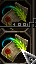 044515xBOtd.gif
