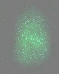 193729AHE93rI.gif
