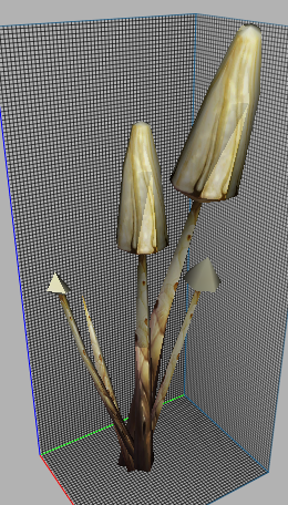 230218bush-9-.png