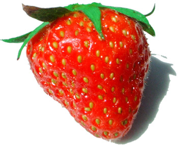 Fraise.jpg