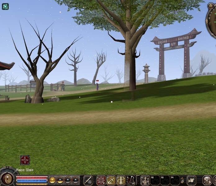 treeleaves.jpg