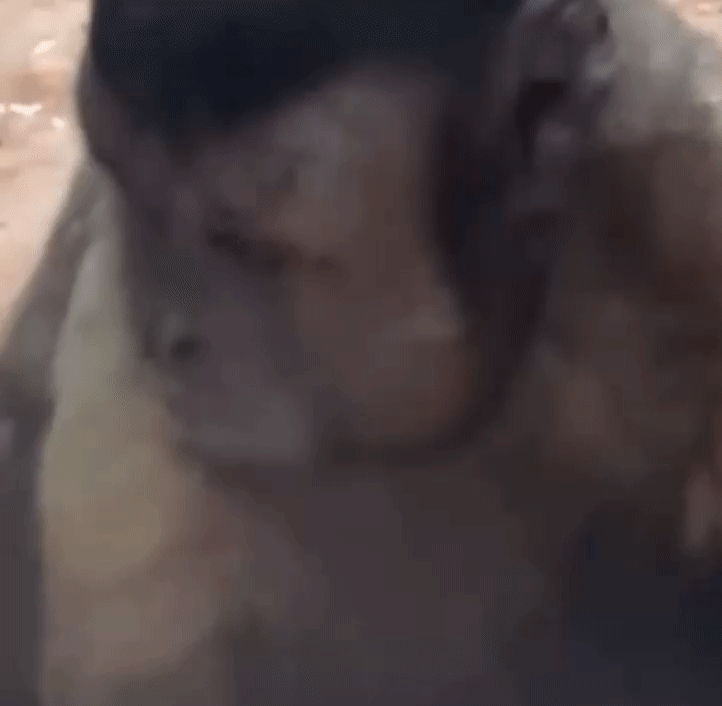 fdd4b729d894b019e014aa48cb88e686.gif