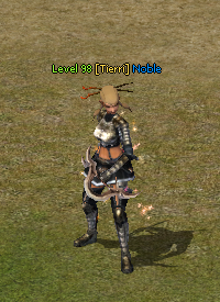 imagemf585f3a444fef258.png