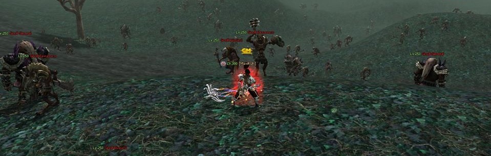 .jpg