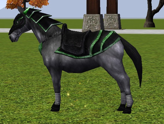 081527chevalcombatmembre.jpg