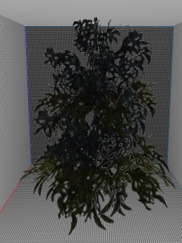 230218bush-5-.png