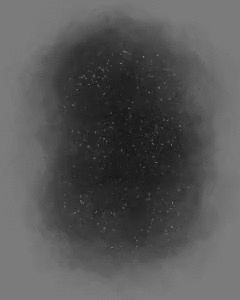 193729mMMqdra.gif