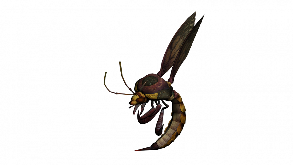 012841bee-pet1.png.04cdaf7034fe2f0bffd60