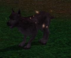 240933Screenshot-15.png