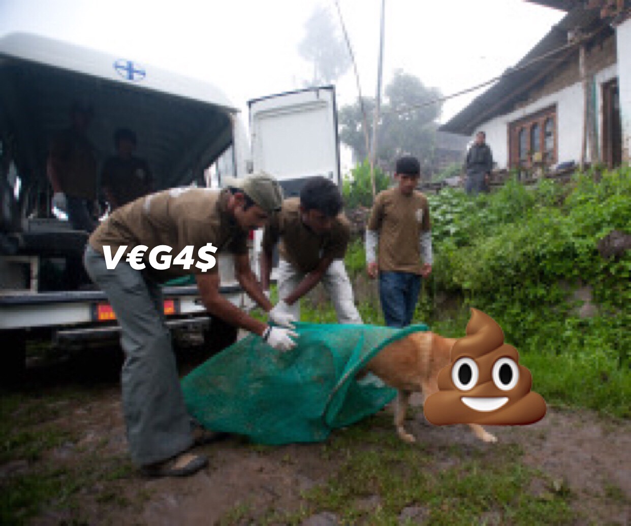 lwv2fab.jpg