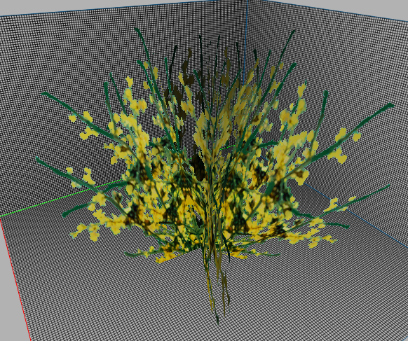 230305bush-18-.png