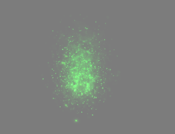193826DLVkcab.gif