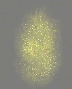 193729Ywnreu5.gif