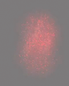 193729DZGstYp.gif
