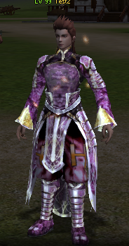 175959armureSH-homme.png