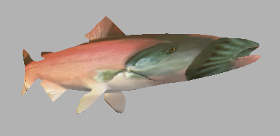 .png