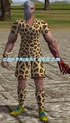 .jpg